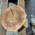 Rosewood Schijf, Dikte 70mm, Ø 350mm